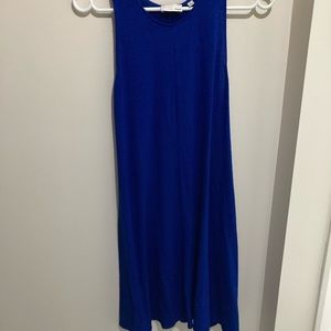Gorgeous Wilfred free blue dress